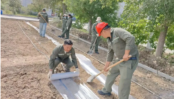 {8ed8ddce-dd3a-4176-945a-87464739b5fe}