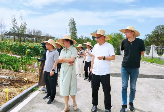 {edd436cb-d1c5-4f71-9f6a-507d42ad0828}