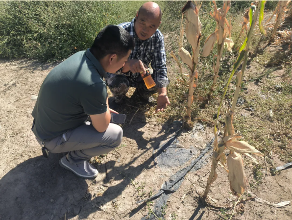 {28bb31ec-f92a-4913-ba54-d57119303f56}