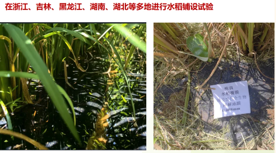 {a05c66eb-aac9-4736-b653-8c6f99b78c77}