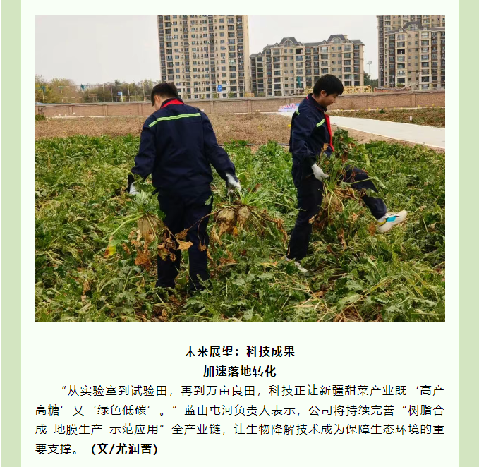 {fe07e79a-4456-4936-be63-97f9cd24bde1}